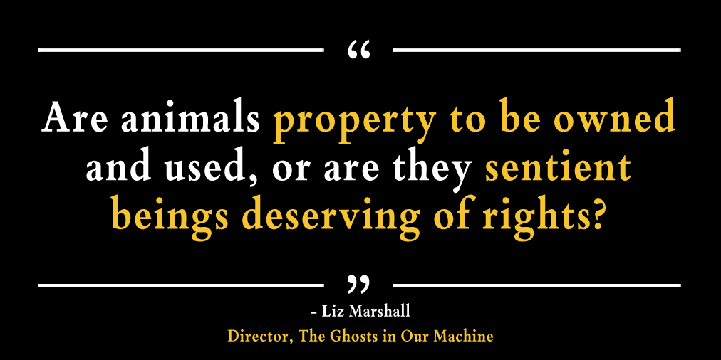 Property or Sentient