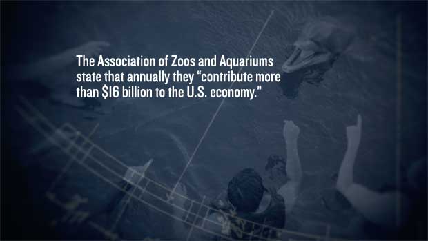 LEARN MORE - Non-Human Animals Used fro Entertainment