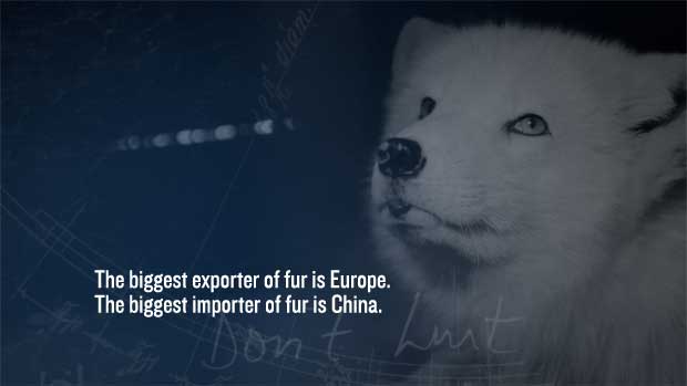 LEARN MORE - Non-Human Animals Used fro Fashion