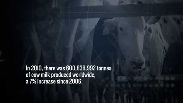 LEARN MORE - Non-Human Animals Used for Food