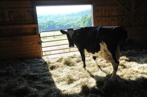 FarmSanctuary2011_45