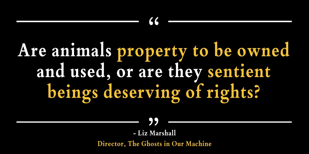 Property or Sentient