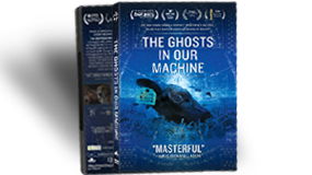Purchase The Ghosts In Our Machine DVD